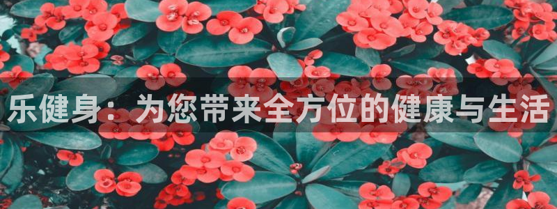 意昂4官网