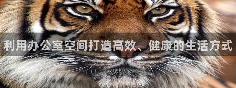 意昂4官方网站