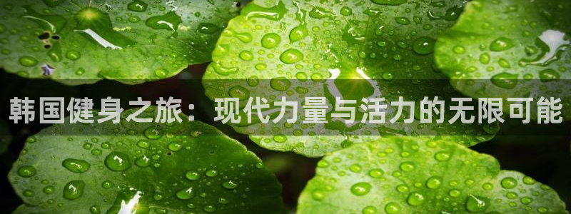 意昂4代理